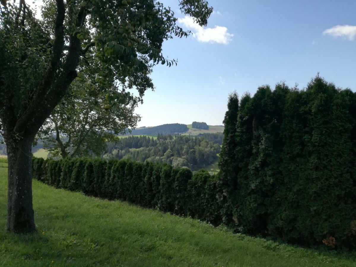 Jenny Vila Lembach im Mühlkreis Exterior foto
